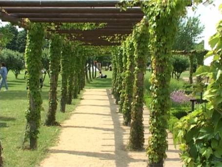 Xanten : APX - Park, An der Römischen Herberge